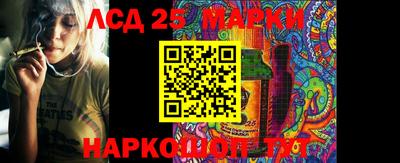 Альфа ПВП Заводоуковск