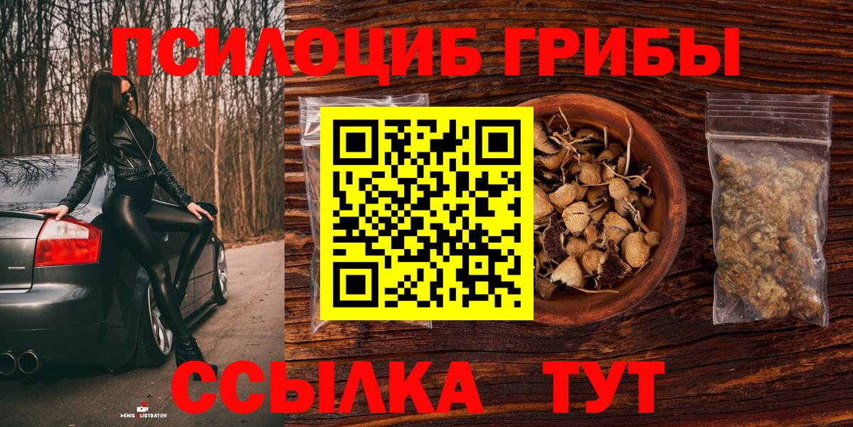 Псилоцибиновые грибы GOLDEN TEACHER  дарнет шоп  Псилоцибиновые грибы мицелий  Глазов  Вход с VPN 